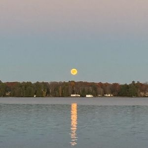 Meet your Posher, Jisu